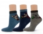 Preview: nahtlose Kindersocken KOALA im 3er Pack cotton club Gr. 23/26 bis 39/42 ohen 35/38